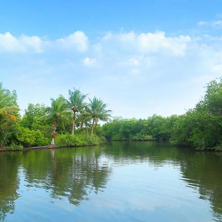 Global Lake Villa Хиккадува Экстерьер фото