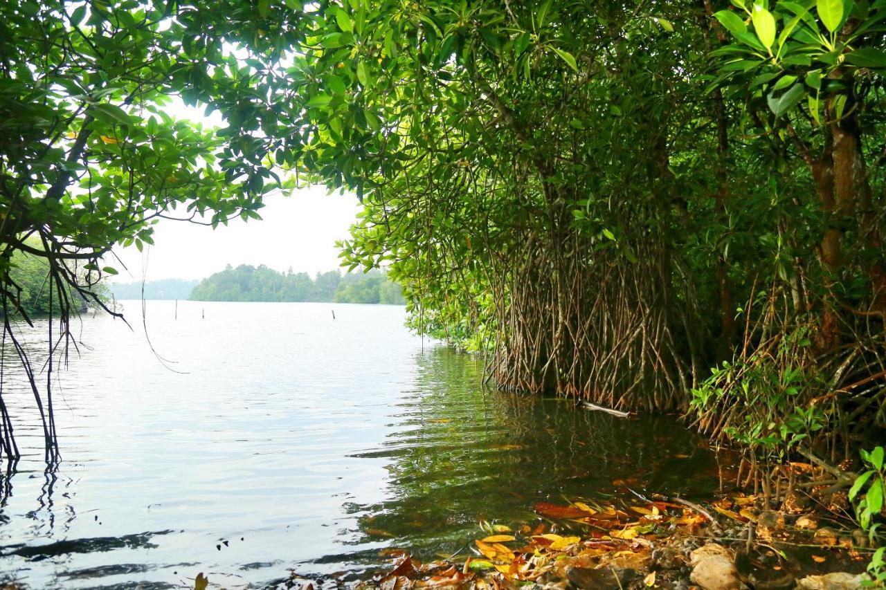 Global Lake Villa Хиккадува Экстерьер фото