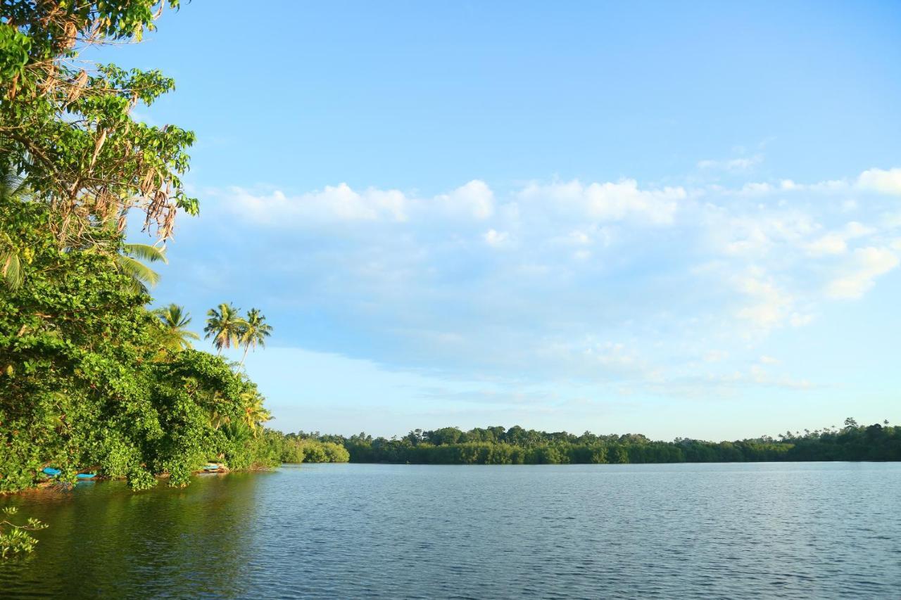 Global Lake Villa Хиккадува Экстерьер фото